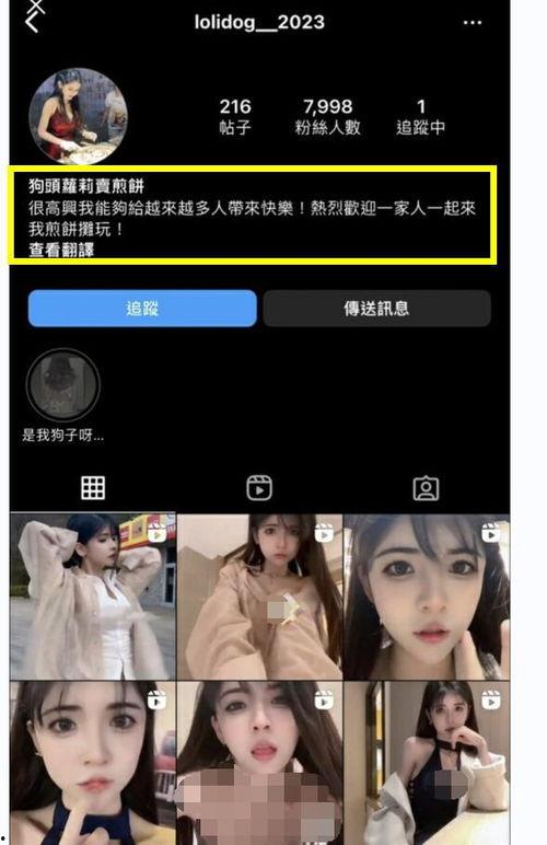 外网网红福利在线,在线互动背后的秘密世界
